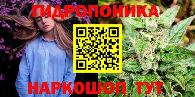 гидра Краснокаменск