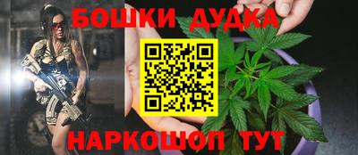 гидра Краснокаменск