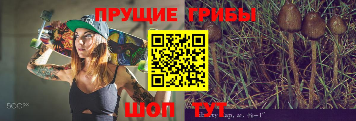 Псилоцибиновые грибы ЛСД  Вход с VPN  что такое   Каменка  Галлюциногенные грибы мухоморы 