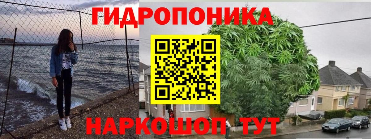 Каменка  Шишки марихуана семена  Вход с VPN  Каннабис ГИДРОПОН 